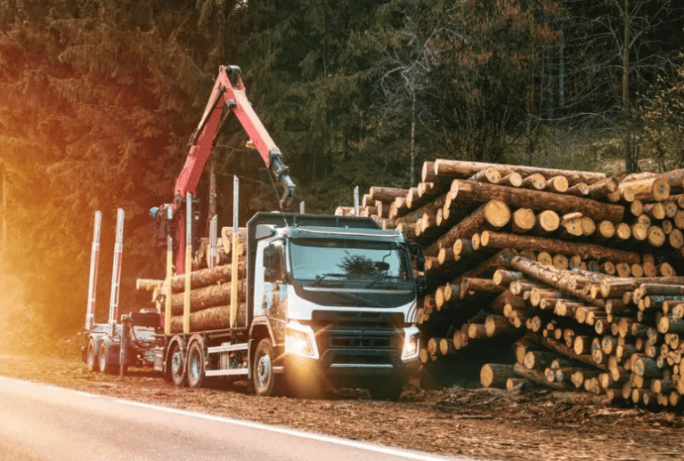 Log Loader Trailer Buying Guide: Choosing the Right Model for Efficient Timber Hauling